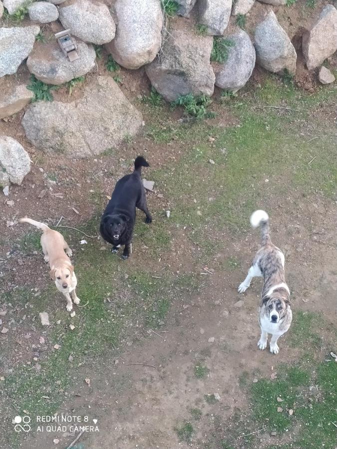 אל פדרוסו Hostal Finca Mirador מראה חיצוני תמונה